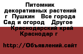 Питомник декоративных растений г. Пушкин - Все города Сад и огород » Другое   . Краснодарский край,Краснодар г.